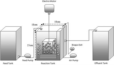 Biodegradation of 2-4-6 trichlorophenol by sequencing batch reactors (SBR) equipped with a rotating biological bed and operated in an anaerobic-aerobic condition